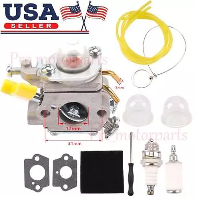 Carburetor For Homelite Ryobi 25cc 26cc 30cc String Trimmer Carb Zama C1U-H60D • $14.99