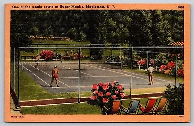 Postcard Tennis Courts Sugar Maples Maplecrest New York C1950 • $8.99