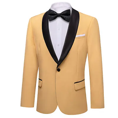 Men's Suit Paisley Embroidery Casual Blazer Jacket Single-Breasted Wedding Prom • $49.86