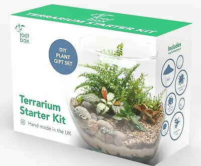 £12.77 • Buy [CLEARANCE] Rootbox™ Terrarium Kit | Scented Giftbox | Bonsai Cactus Succulent