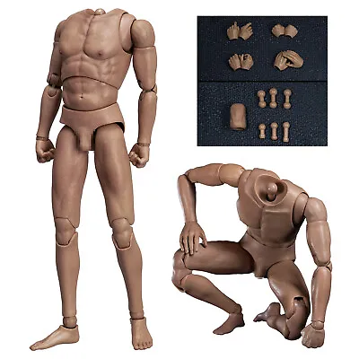 Wordbox AT020 1/6 Male Narror Shoulder Action Figure Body 12  Model Head Sculpt • £36.24