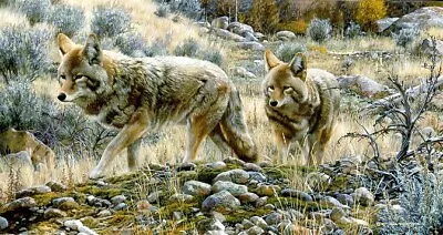 Carl Brenders TWO AMIGOS Coyotes Limited Edition Print ARTIST PROOF A/P#15/76  • $90