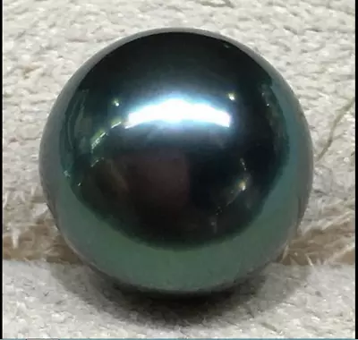 $2500 • Buy Huge 18mm Natural Tahitian South Sea Genuine Black Loose Pearl Undrilled 3588AAA