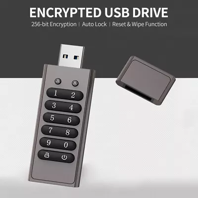 USB 3.0 Flash Drive U Disk Data Storage Memory Stick Password Secure Auto Lock • $69.29