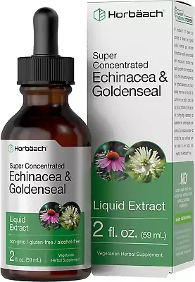 Echinacea Goldenseal Liquid Extract 2 Fl Oz Alcohol Free Tincture Drops Non-GMO • $29.62