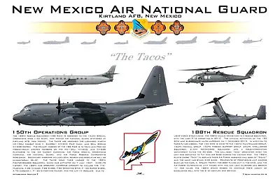 188th Rescue Squadron  The Tacos  Military Air Force Afterburner Profiles 17x11 • $12.95
