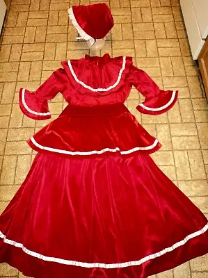 Christmas Caroler Dress / Costume. Dickens Style. Sz. Women's Large. Pretty! • $24.99