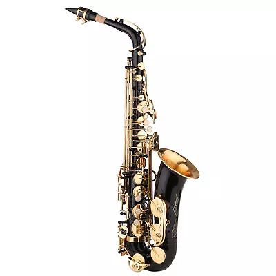 Saxophone Black Paint E-flat Sax For Beginner Student Intermediate Player • $329.99