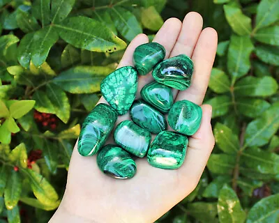 Bulk 1/2 Lb Malachite Tumbled Stone: Crystal Healing Gemstone (1/2 Pound 8 Oz) • $27.75