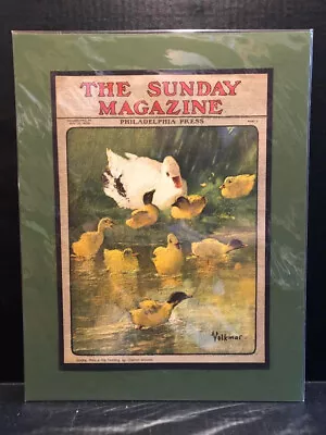 Original May 14 1905 The Sunday Magazine Cover Ducks By Charles Volkmar (matted • $45