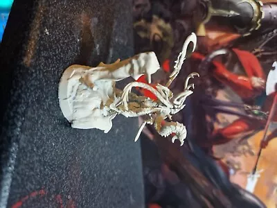 £15 • Buy Branchwych Sylvaneth Army Age Of Sigmar Warhammer AOS Primed