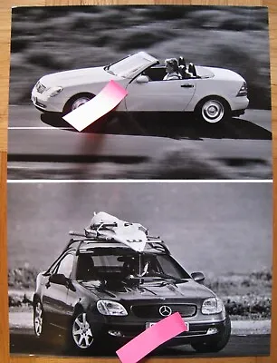 Factory Photo Mercedes SLK R170 Roadster Premiere 1996 Photo Brochure Brochure Brochure • $12.79