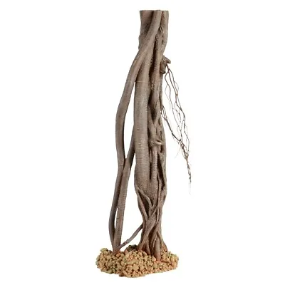 Mangrove Root - Medium • £33.83