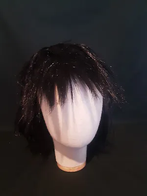 Black Gothic Rockstar Rock Heavy Metal Wig Fancy Dress Costume Emo Punk • $12.84