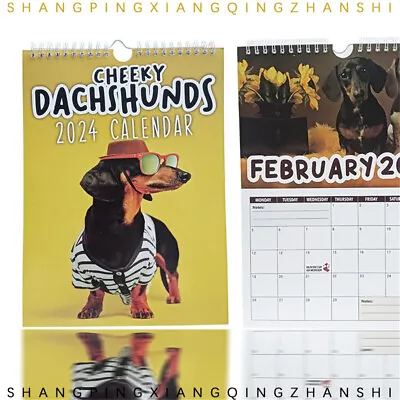 2024 Calendar Funny Cheeky Dachshunds Cute Dog Wall Calendar Home Office Decors • £6.83
