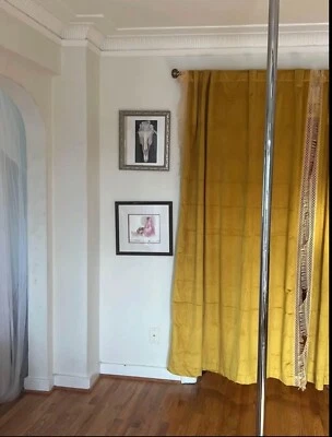 $300 • Buy X Pole Xpert 45mm Chrome 
