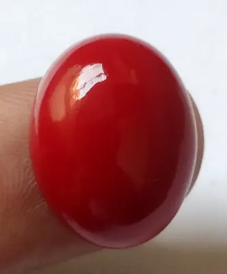 12.60 Ct. Natural Italian Red Coral Oval Cabochon Loose Gemstone Gift For Women • $25.49