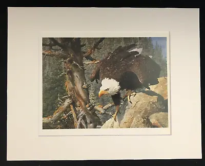 Carl Brenders  The Monarch Is Alive  11 X 14 Matted Bald Eagle Wildlife Print • $25.99
