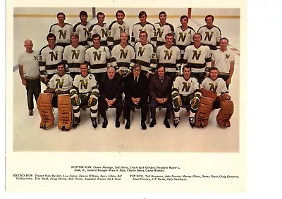 Vintage Original  1971 1972 Minnesota North Stars 8x10  Team Photo Nhl Hockey • $150