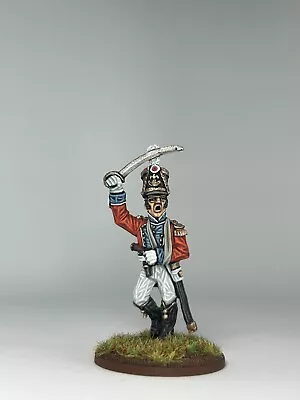 28mm Napoleonic Swiss Officer Painted • £16