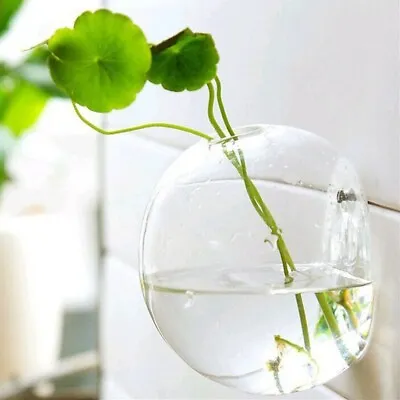 £4.67 • Buy Wall Hanging Planter Glass Hydroponic Vase Plant Terrarium Ball Flower Pot 4 ~