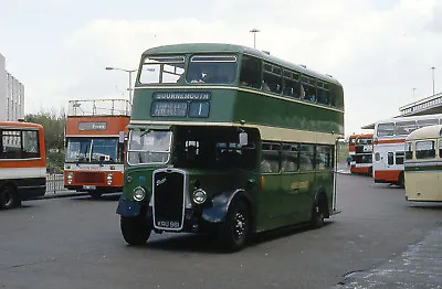 £0.99 • Buy Hants X Dorset 1295 Preserved Poole Bus Sta 6x4 Quality Bus Photograph