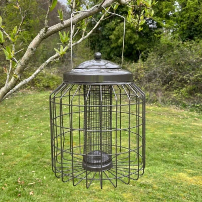 £19.99 • Buy Squirrel Proof Hanging Bird Nut Peanut Feeder Heavy Duty Garden Wild Birds