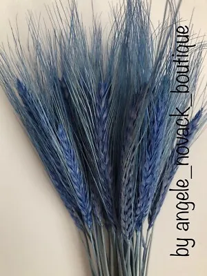 £5.35 • Buy 30 Pcs Dried Flowers Wheat/rye Bunch Wedding Venue Birthday Arrangement In Blue