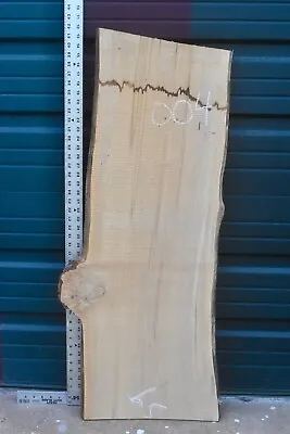 SPALTED MAPLE SLAB - 004 - 14 To 17  Wide • $35