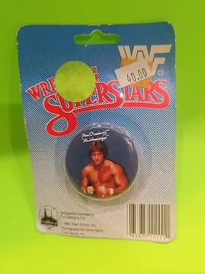 Vintage WWF 1985 Titan Sports Wrestling Superstars Pin Button Paul Mr Wonderful  • $29.99