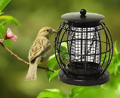 Lantern Wild Bird Nut Feeder Hanging Metal Garden Bird Feeder Squirrel Resistant • £6.79