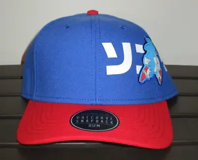 NWT Bioworld SEGA Sonic The Hedgehog Men's Blue Precurve Snapback Hat • $23.96