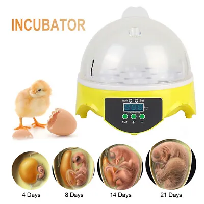 7 Eggs Turner Mini Digital Hatcher Egg Incubator Egg Poultry Chicken Duck Bird • $26