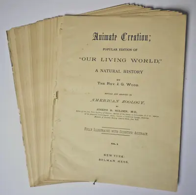 20  /  Zoology Engravings From Animate Creation Rev. J G Wood New York 1885 • $30