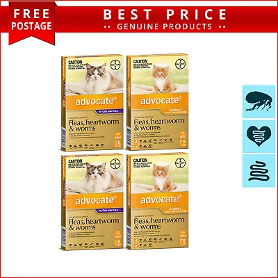 ADVOCATE 12 Doses For Cats All Sizes Monthly Heartworm Flea Worm Prevention • $165.93