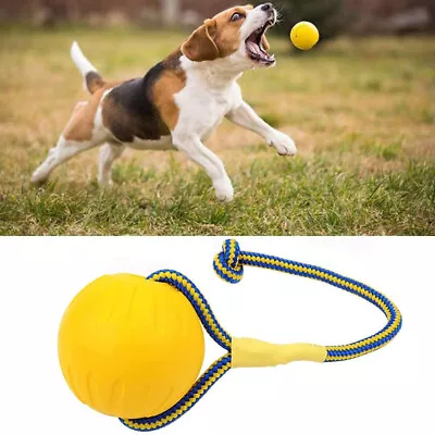 £5.58 • Buy EVA Floating Pet Ball Puppy Bite Resistant Ball With Rope Dog Training Ball Toys