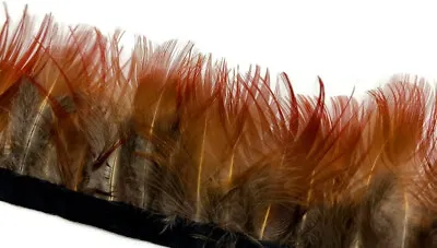 Red Golden Pheasant Feather Trim Halloween Costume Mardi Gras Feathers 1 Yard • $9.99