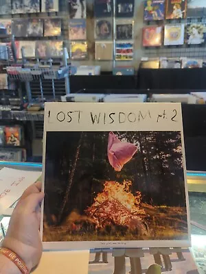 Mount Eerie With Julie Doiron Lost Wisdom Pt 2 Vinyl LP Record! Vg+ • $18.99