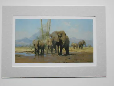 David Shepherd Print 'Elephants Playtime' UNFRAMED • £23