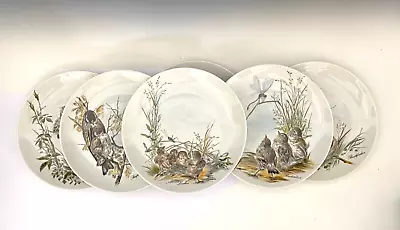 Kaiser W. Germany Collectible Set Of SIX (6) Bird Plates By H. Arndt 7.5  • $49