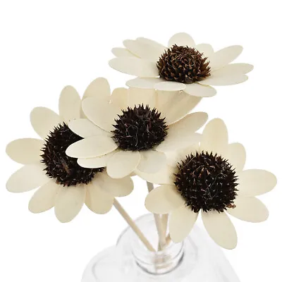 $3.29 • Buy 5Pcs Daisy Dried Flower Aroma Rattan Stick Reed Diffuser Refill Home Fragrances