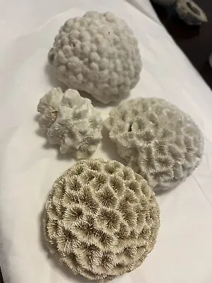 $17.60 • Buy Dry Reef Lot 4 Piece Ocean Coral Rock Unique Brain Coral & Others