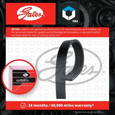 6 Rib Multi V Drive Belt Fits BUICK Gates Genuine Top Quality Guaranteed New • $29.31