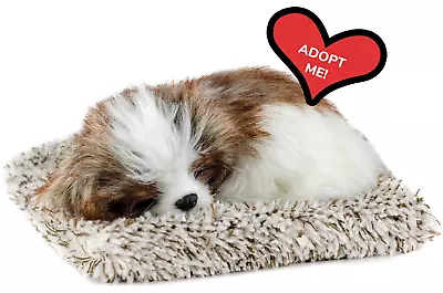 Miniature Shih Tzu: An Authentic Lifelike Interactive Stuffed Plush Toy • $27.90