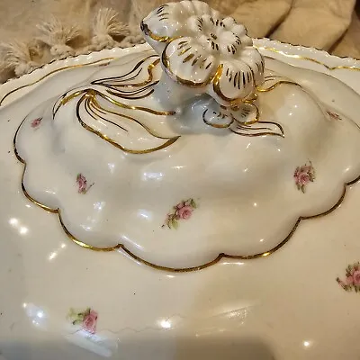 John Maddock & Sons England Royal Vitreous Ironstone Covered Plate • $45