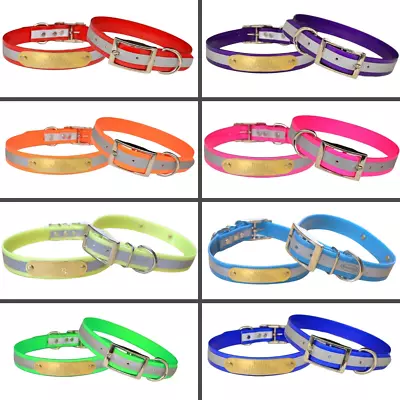 Warner Reflective Dayglo Small Dog Collar (3/4  Width) Free Brass ID Tag USA • $14.95