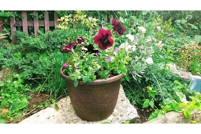 £15.99 • Buy PAIR XL 35CM Round Copper Barrel Acorn Planter Garden Plant Pot Flower Recycled