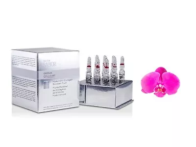 Babor Doctor Derma Cellular Hyaluronic Collagen Booster Fluid 14 Ampoules Prof • $94.75