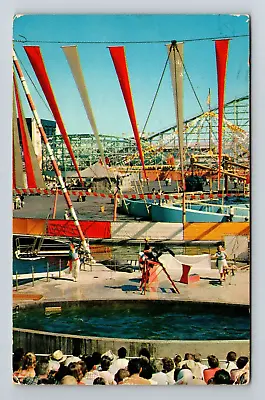 Santa Monica CA-California The Sea Circus Pacific Ocean Park Vintage Postcard • $7.99