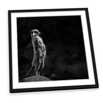 The Meerkat Wildlife Night FRAMED ART PRINT Picture Square Artwork • $28.58